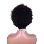 African Small Curls Cornrow Braid Synthetic Wig - WigWonders