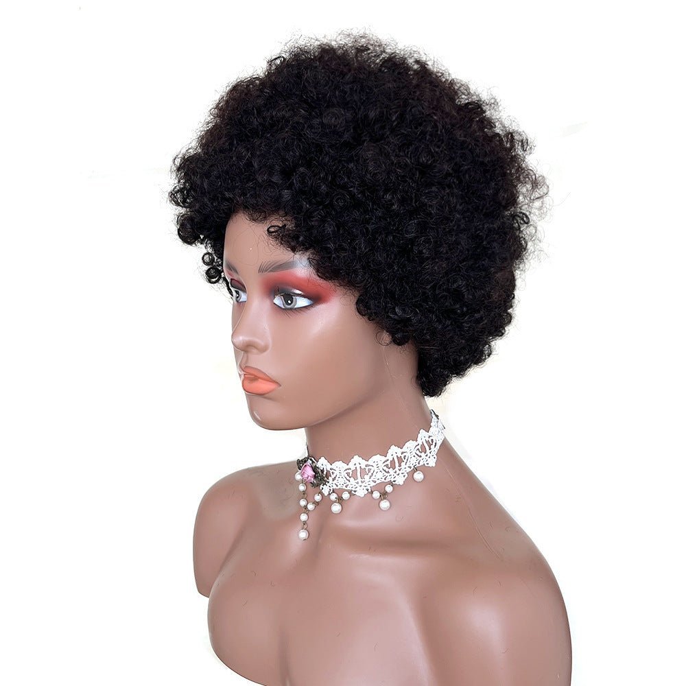 African Small Curls Cornrow Braid Synthetic Wig - WigWonders