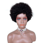 African Small Curls Cornrow Braid Synthetic Wig - WigWonders