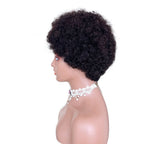 African Small Curls Cornrow Braid Synthetic Wig - WigWonders