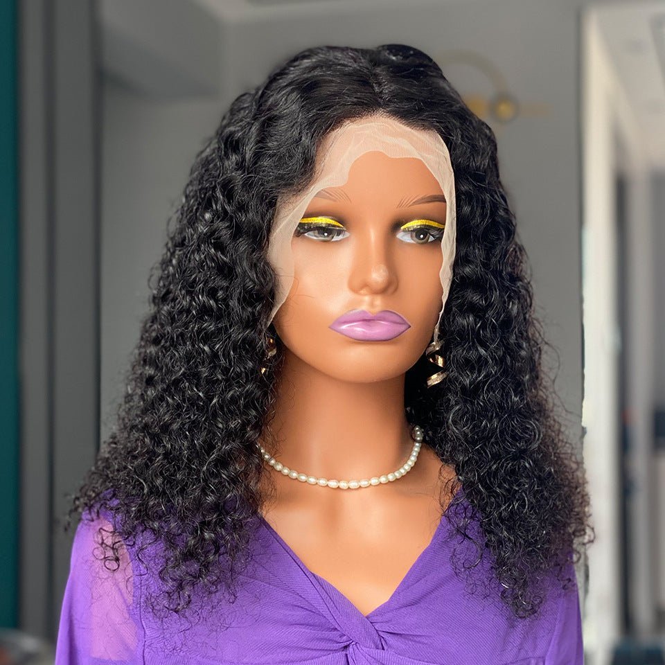 Kinky Curly Lace Front Human Hair Wig - WigWonders