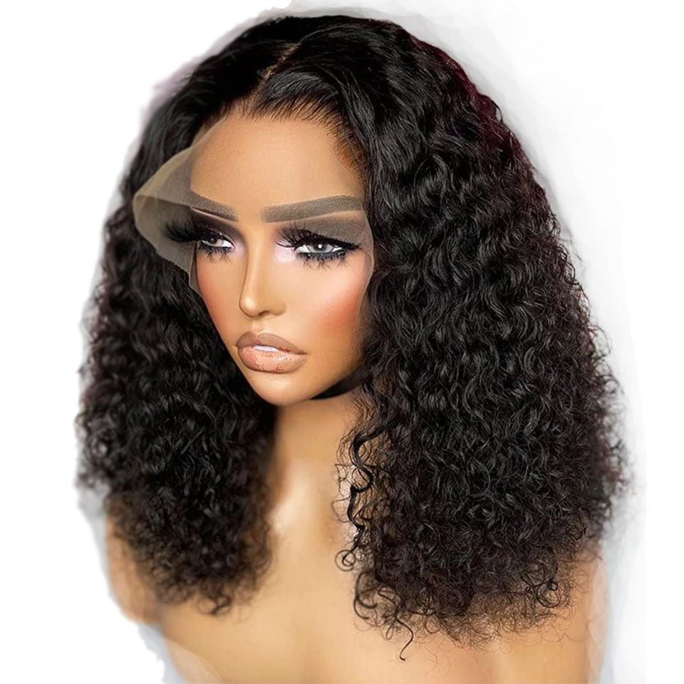 Kinky Curly Lace Front Human Hair Wig - WigWonders