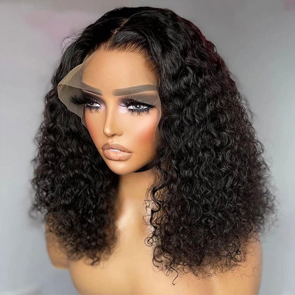 Kinky Curly Lace Front Human Hair Wig - WigWonders