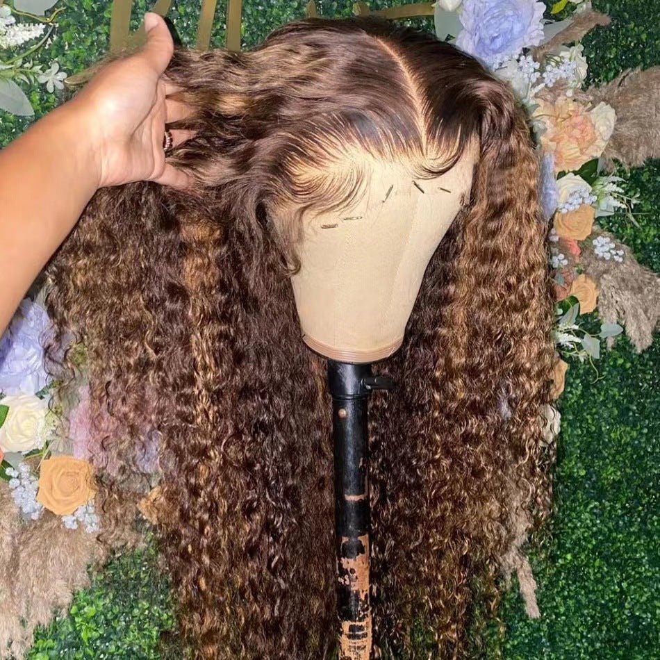 Kinky Curly Lace Front Wig Afro Curly Long Wig - WigWonders