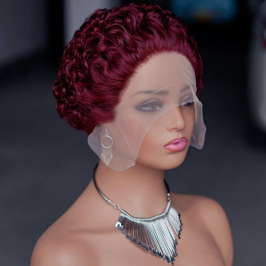 Pixie Curly 13x1 Lace Front Human Hair Wig - Short Bouncy Curls - WigWonders