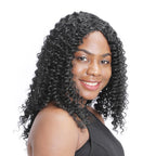 Short Curly Synthetic Wig Voluminous Afro Style - WigWonders